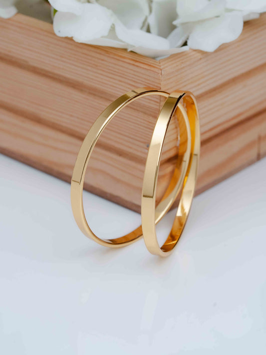 Kavita Bangle. ( Set of 2 )