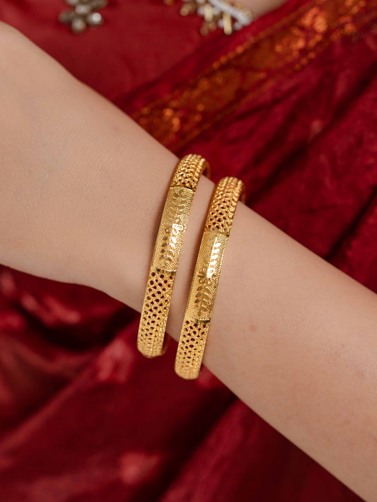 Ekta Bangle. ( Set of 2)