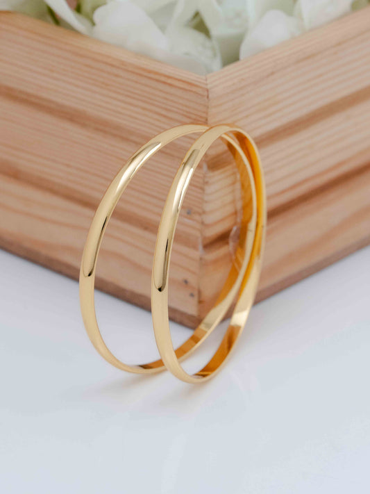 Swara Bangle. (Set of 2 )
