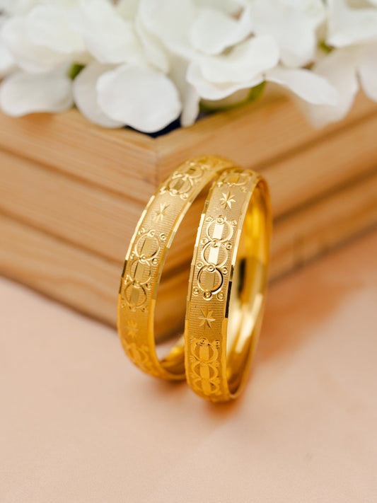 Pakhi Bangle. ( Set of 2 )