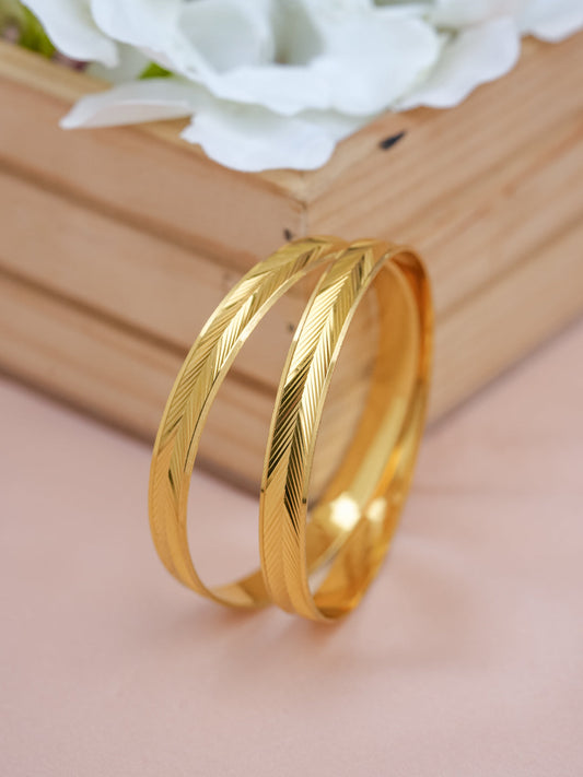Aashvi Bangle ( Set of 2)