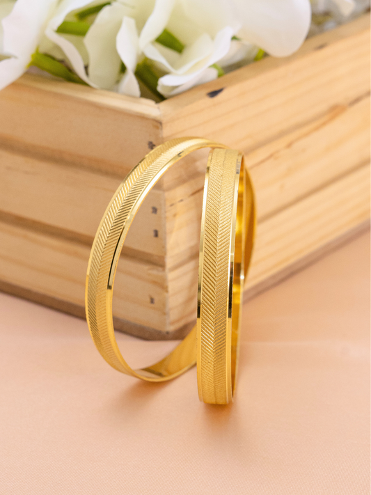 Tripti Bangle.  (Set of 2 )